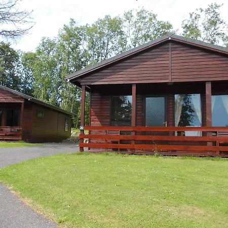 Birch Lodge 20 With Hot Tub Нютън Стюарт Екстериор снимка