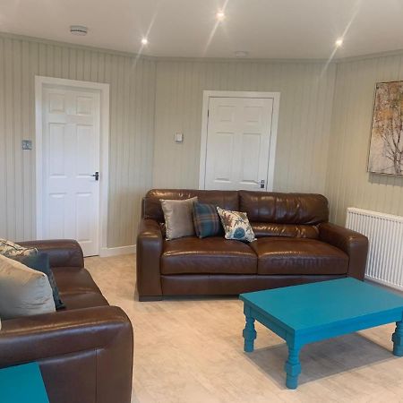 Birch Lodge 20 With Hot Tub Нютън Стюарт Екстериор снимка