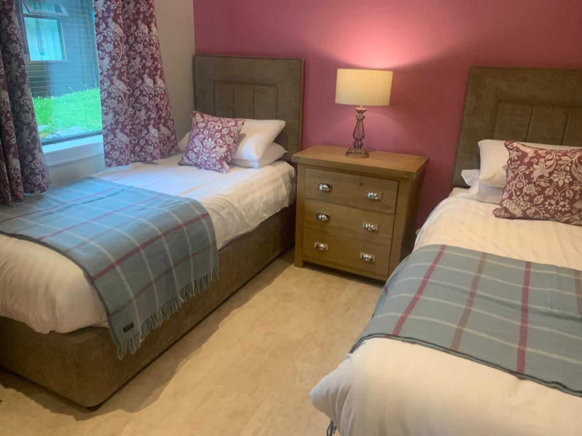 Birch Lodge 20 With Hot Tub Нютън Стюарт Екстериор снимка
